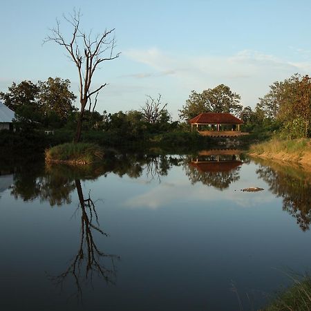 Tuli Tiger Corridor Hotell Kurha Exteriör bild