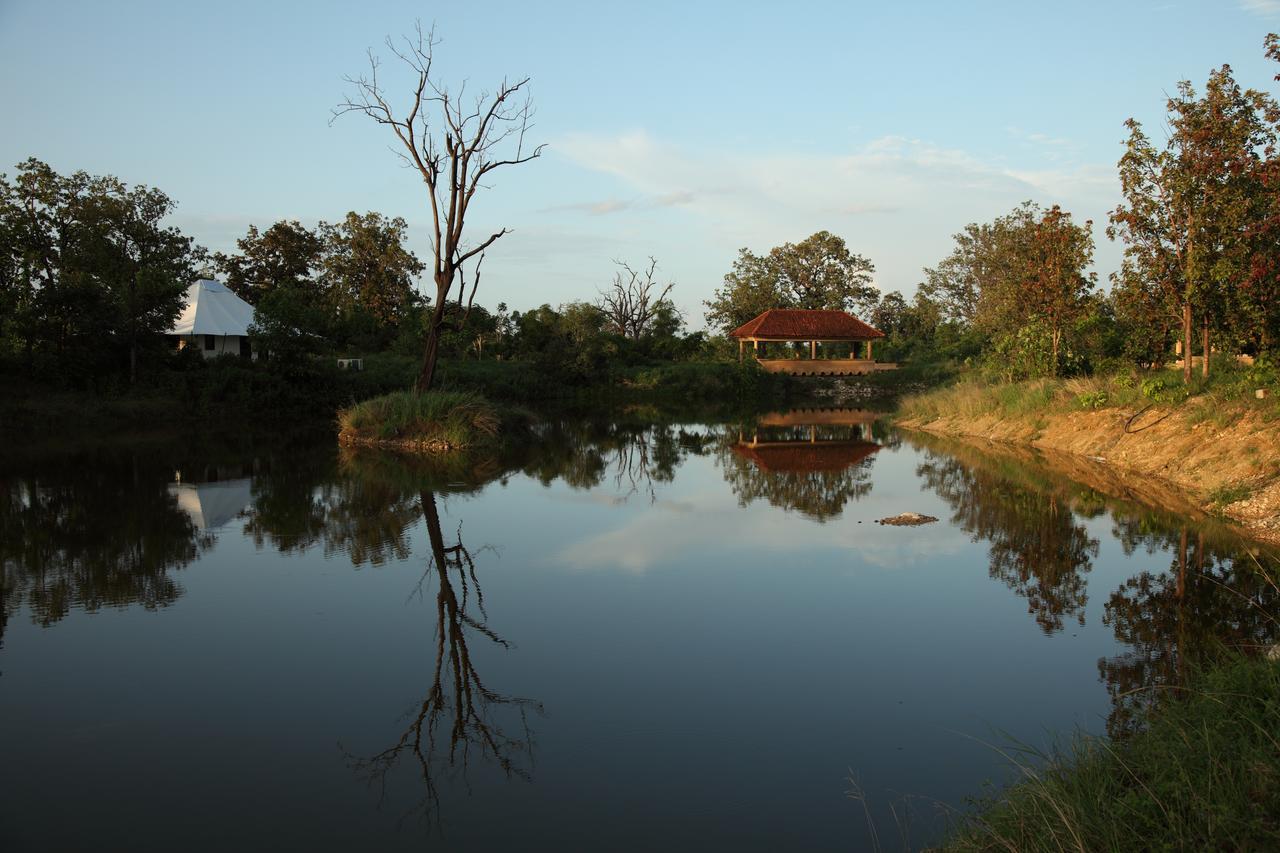 Tuli Tiger Corridor Hotell Kurha Exteriör bild